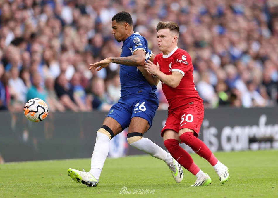 了自己的实 了自己的实